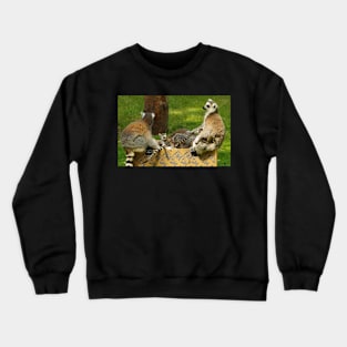 Lemurs Crewneck Sweatshirt